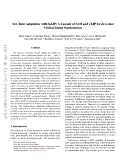 Test-Time Adaptation with SaLIP: A Cascade of SAM and CLIP for Zero shot
  Medical Image Segmentation
