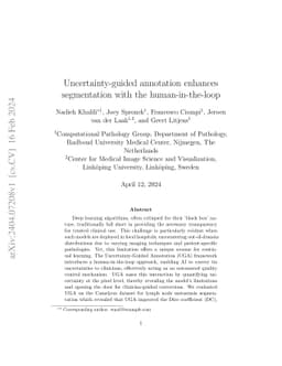 Uncertainty-guided annotation enhances segmentation with the
  human-in-the-loop