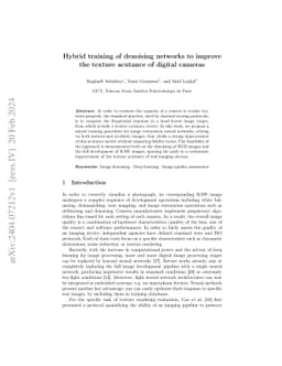 Hybrid Training of Denoising Networks to Improve the Texture Acutance of
  Digital Cameras