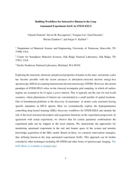 Building Workflows for Interactive Human in the Loop Automated
  Experiment (hAE) in STEM-EELS