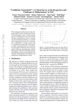 "Confidently Nonsensical?'': A Critical Survey on the Perspectives and
  Challenges of 'Hallucinations' in NLP