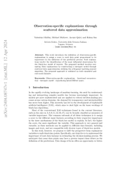 Observation-specific explanations through scattered data approximation