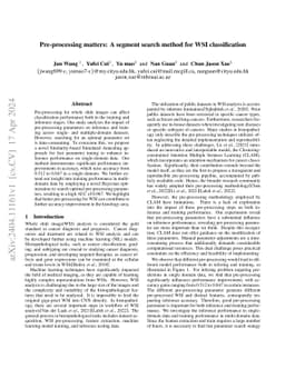 Pre-processing matters: A segment search method for WSI classification