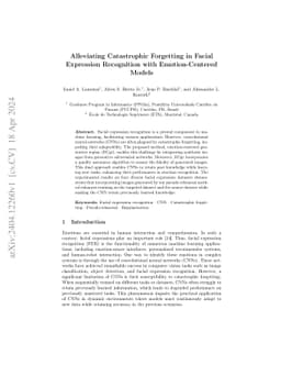 Alleviating Catastrophic Forgetting in Facial Expression Recognition
  with Emotion-Centered Models