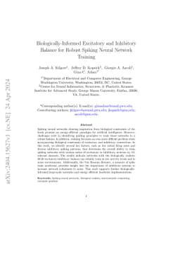 Biologically-Informed Excitatory and Inhibitory Balance for Robust
  Spiking Neural Network Training