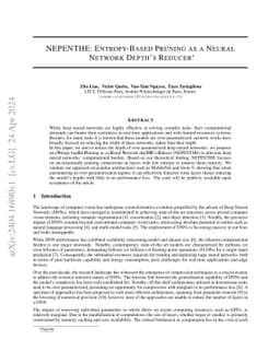 NEPENTHE: Entropy-Based Pruning as a Neural Network Depth's Reducer
