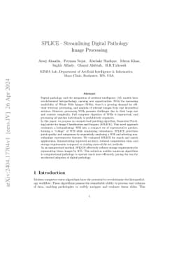 SPLICE -- Streamlining Digital Pathology Image Processing