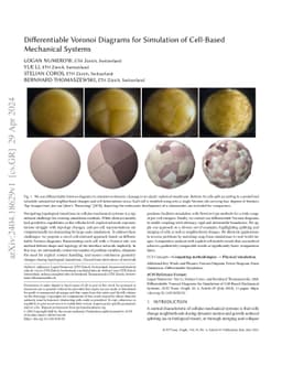 Differentiable Voronoi Diagrams for Simulation of Cell-Based Mechanical
  Systems