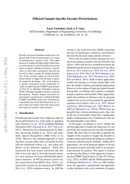 Efficient Sample-Specific Encoder Perturbations