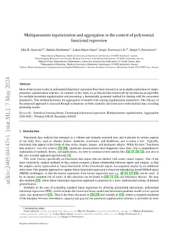 Multiparameter regularization and aggregation in the context of
  polynomial functional regression