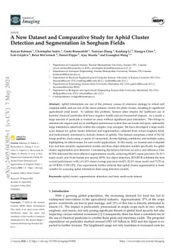 A New Dataset and Comparative Study for Aphid Cluster Detection and
  Segmentation in Sorghum Fields