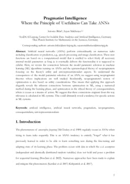 Pragmatist Intelligence: Where the Principle of Usefulness Can Take ANNs