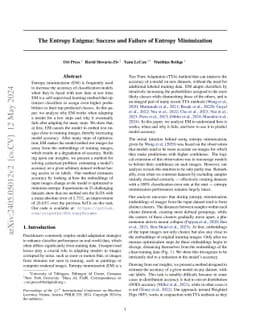 The Entropy Enigma: Success and Failure of Entropy Minimization