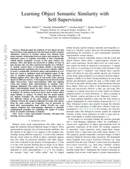 Learning Object Semantic Similarity with Self-Supervision