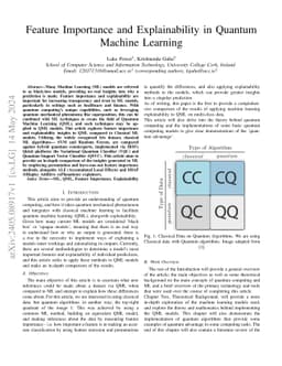 Feature Importance and Explainability in Quantum Machine Learning
