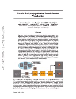 Parallel Backpropagation for Shared-Feature Visualization