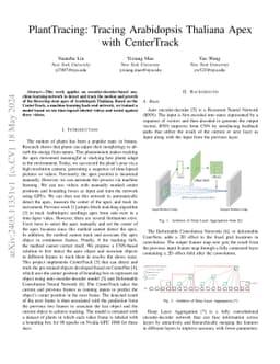 PlantTracing: Tracing Arabidopsis Thaliana Apex with CenterTrack