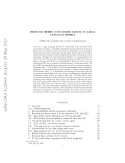 Directed Metric Structures arising in Large Language Models