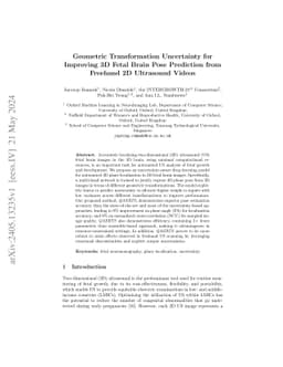 Geometric Transformation Uncertainty for Improving 3D Fetal Brain Pose
  Prediction from Freehand 2D Ultrasound Videos