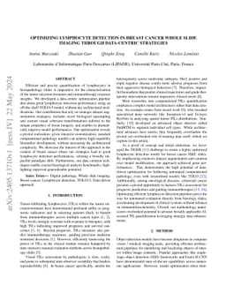 Optimizing Lymphocyte Detection in Breast Cancer Whole Slide Imaging
  through Data-Centric Strategies