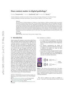 Does context matter in digital pathology?