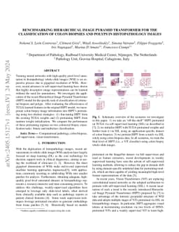 Benchmarking Hierarchical Image Pyramid Transformer for the
  classification of colon biopsies and polyps in histopathology images