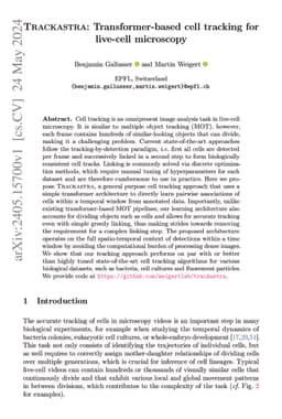 Trackastra: Transformer-based cell tracking for live-cell microscopy