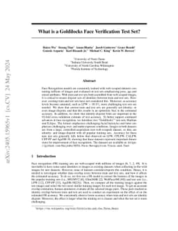 What is a Goldilocks Face Verification Test Set?