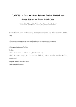 DAFFNet: A Dual Attention Feature Fusion Network for Classification of
  White Blood Cells