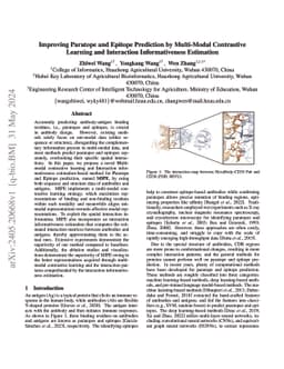 Improving Paratope and Epitope Prediction by Multi-Modal Contrastive
  Learning and Interaction Informativeness Estimation