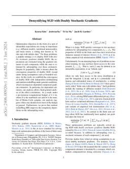 Demystifying SGD with Doubly Stochastic Gradients