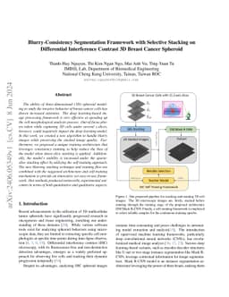 Blurry-Consistency Segmentation Framework with Selective Stacking on
  Differential Interference Contrast 3D Breast Cancer Spheroid