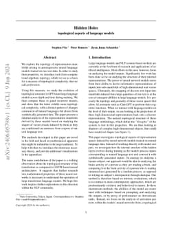 Hidden Holes: topological aspects of language models