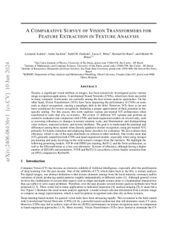 A Comparative Survey of Vision Transformers for Feature Extraction in
  Texture Analysis