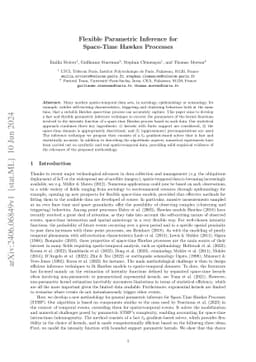 Flexible Parametric Inference for Space-Time Hawkes Processes