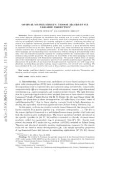 Optimal Matrix-Mimetic Tensor Algebras via Variable Projection