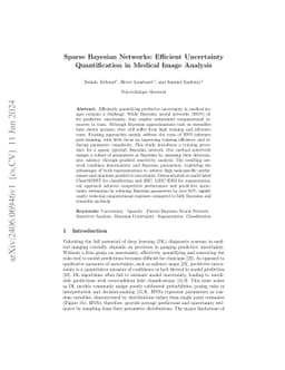 Sparse Bayesian Networks: Efficient Uncertainty Quantification in
  Medical Image Analysis