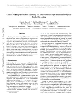 Gene-Level Representation Learning via Interventional Style Transfer in
  Optical Pooled Screening