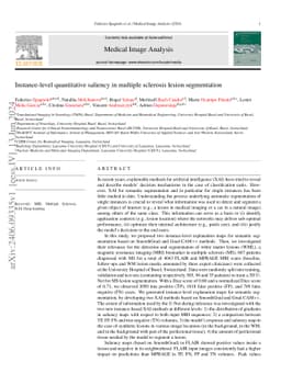 Instance-level quantitative saliency in multiple sclerosis lesion
  segmentation