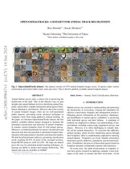 OpenAnimalTracks: A Dataset for Animal Track Recognition