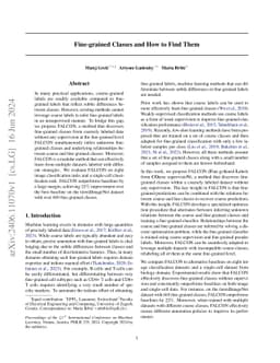 Fine-grained Classes and How to Find Them