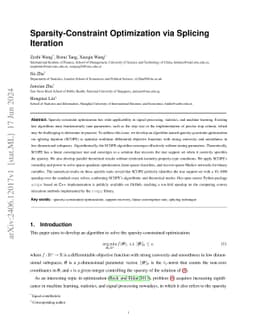Sparsity-Constraint Optimization via Splicing Iteration