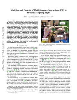 Modeling and Controls of Fluid-Structure Interactions (FSI) in Dynamic
  Morphing Flight