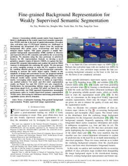 Fine-grained Background Representation for Weakly Supervised Semantic
  Segmentation