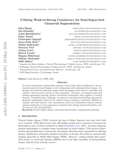 Utilizing Weak-to-Strong Consistency for Semi-Supervised Glomeruli
  Segmentation