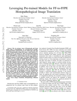 Leveraging Pre-trained Models for FF-to-FFPE Histopathological Image
  Translation