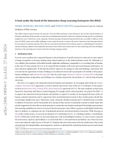 A look under the hood of the Interactive Deep Learning Enterprise
  (No-IDLE)