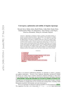 Convergence, optimization and stability of singular eigenmaps