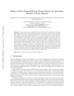 BOrg: A Brain Organoid-Based Mitosis Dataset for Automatic Analysis of
  Brain Diseases
