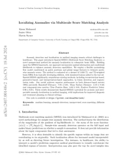 Localizing Anomalies via Multiscale Score Matching Analysis